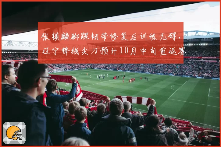 张镇麟脚踝韧带修复后训练无碍，辽宁锋线尖刀预计10月中旬重返赛场