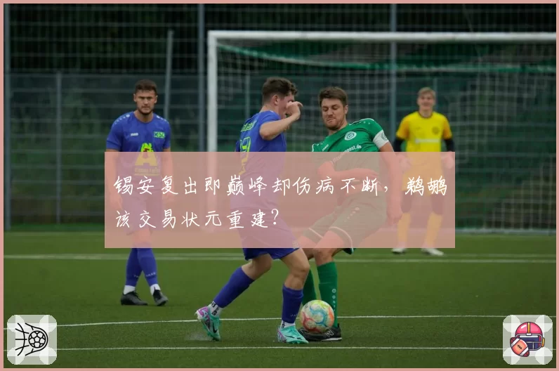 锡安复出即巅峰却伤病不断,鹈鹕该交易状元重建?
