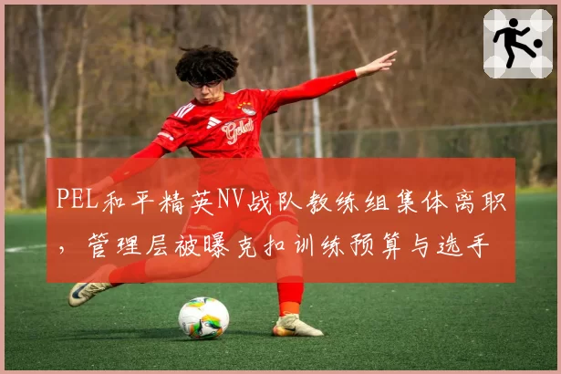 PEL和平精英NV战队教练组集体离职，管理层被曝克扣训练预算与选手分红