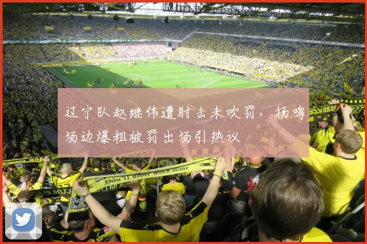 辽宁队赵继伟遭肘击未吹罚，杨鸣场边爆粗被罚出场引热议