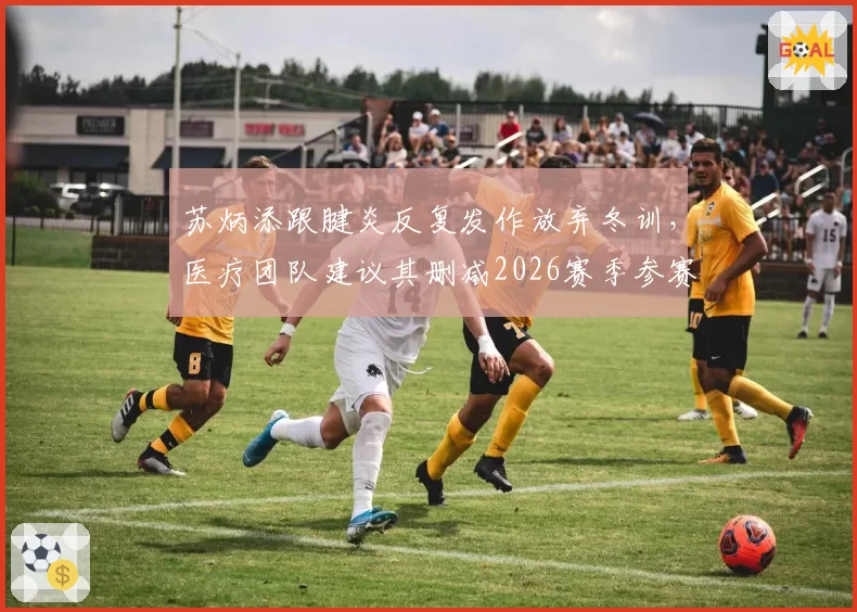 苏炳添跟腱炎反复发作放弃冬训,医疗团队建议其删减2026赛季参赛密度__br_