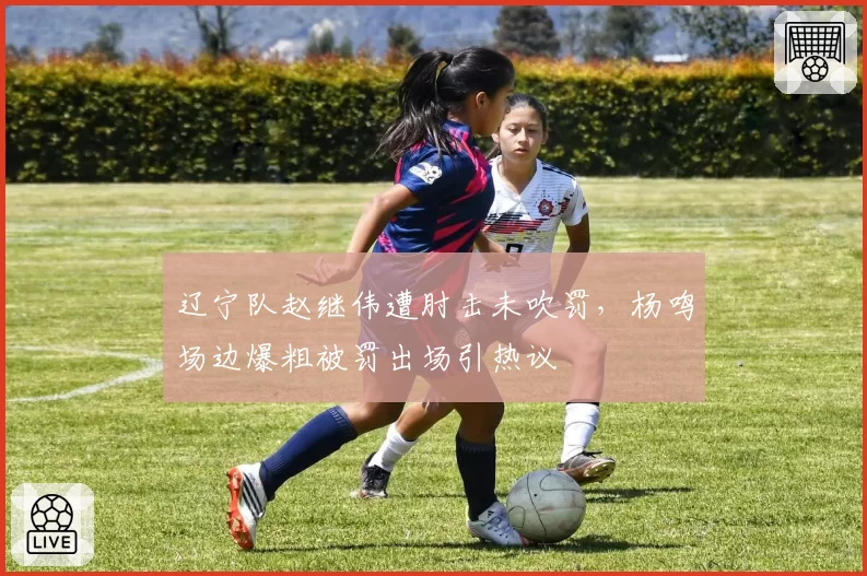 辽宁队赵继伟遭肘击未吹罚，杨鸣场边爆粗被罚出场引热议