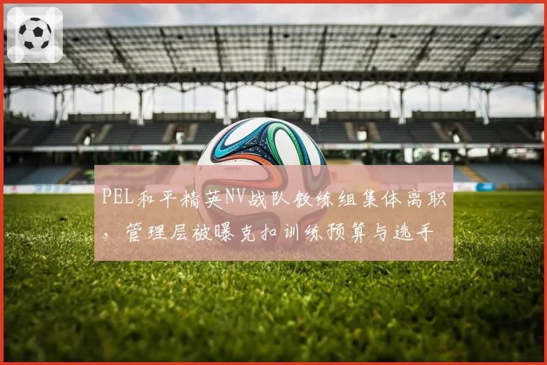 PEL和平精英NV战队教练组集体离职，管理层被曝克扣训练预算与选手分红