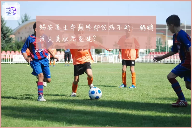 锡安复出即巅峰却伤病不断,鹈鹕该交易状元重建?