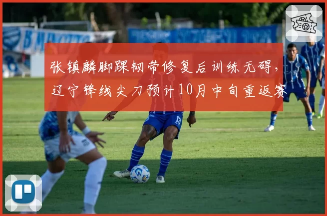 张镇麟脚踝韧带修复后训练无碍，辽宁锋线尖刀预计10月中旬重返赛场